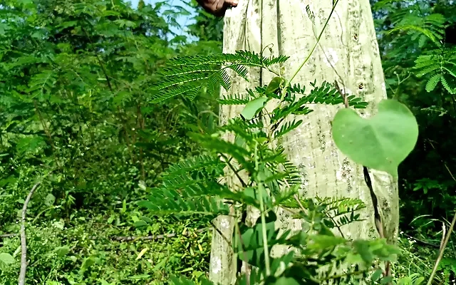 Hot sex with my new neighbor part 4