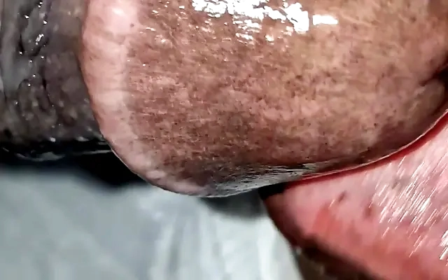 Bunny Madison's Lingerie Tease: A Night of Cock Rating and Passion