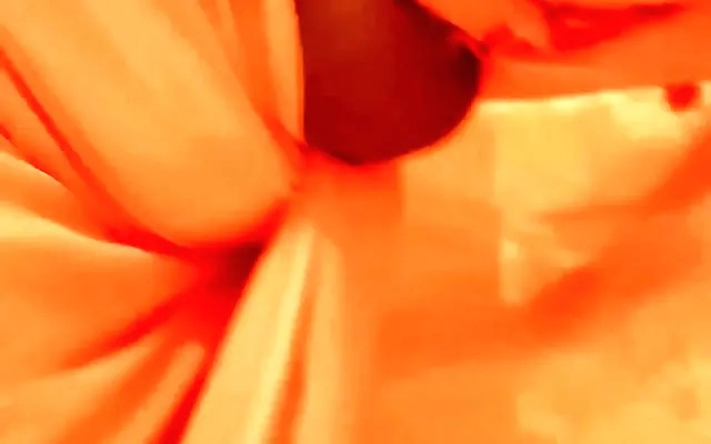 Esposa Puta Que Odia El futbol Seduce A Su Sobrino Y A su Cu&ntilde;ado Y Se Los Folla Trio Escucha Como Gime (Blowjob,Dp,Anal,fisting) Ever Best xxx En Nueva York Usa Desi BhaBhi XXX 4 FULL ON XRED