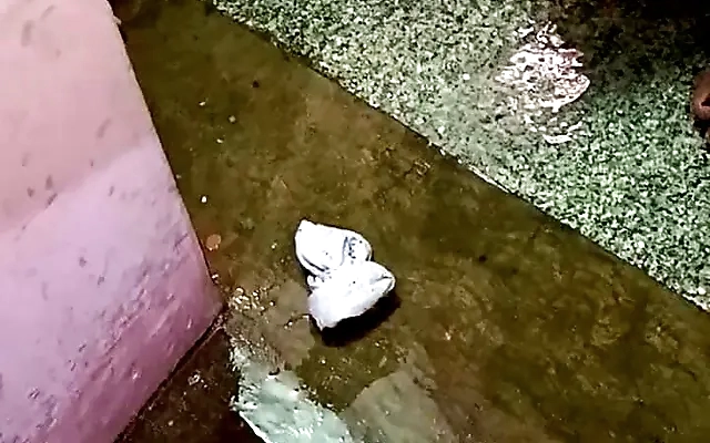 My neighbor catches me through the window while I'm fucking my stepsister Penelope. I'm a lucky stepbrother to have such a slut and accommodating stepsister, she's the house bitch. (Cat