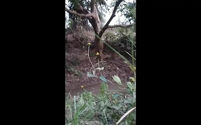 モーニングセックスを盗撮激しいピストンの寝バックが気持ち良すぎて朝から中イキしまくり ハメ撮り 喘ぎ声 絶頂 エロい 巨乳 美女 かわいい 素人 カップル 投稿 個人撮影 日本人 えむゆみ