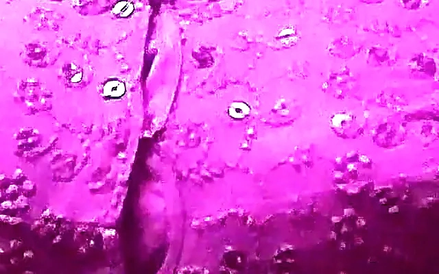 Real Indian Group Sex With Two Indian Boudi Nisita & Nipa