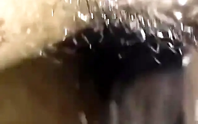 Fresh pussy quicky